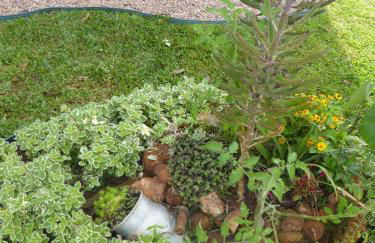 Villa Holística - Foto 73