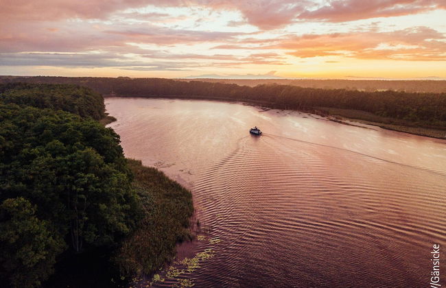 Boats & Yachts at Malchin Harbor by Kuhnle‑Tours - Foto 17