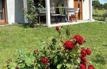 Blisko Lasu - Foto 14