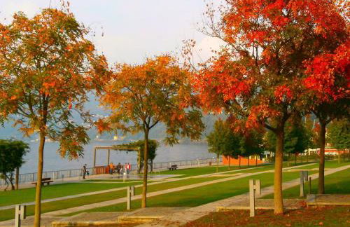 Lago Maggiore Holiday House With Panoramic Views - Foto 95