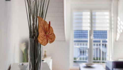 am Salinensee - Photo 4