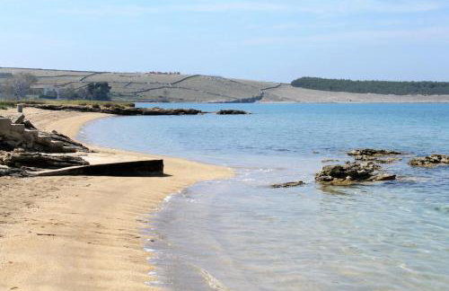 Apartments by the sea Povljana, Pag - 21144 - Foto 24