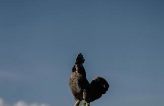 Casa Luana - Photo 63