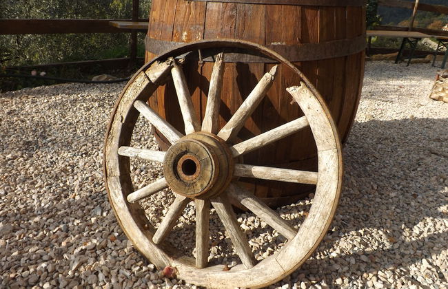 Agriturismo Monaci Templari - Photo 41