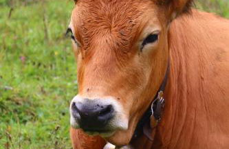 Apartment Zugspitz - Foto 34