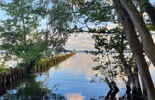 Kugelhaus Nordlichter - Skandinavischer Rückzugsort in runder Form am Tollensesee - Foto 25