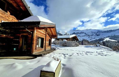 Chalet du Lay Côte 2000 ski in ski out - Foto 26