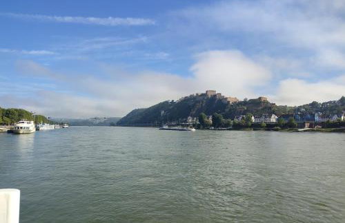 Rheinuferhaus - Foto 41