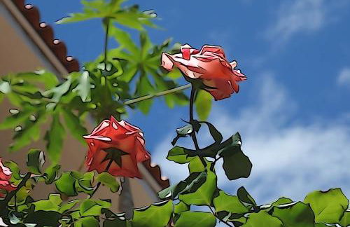 Apartamentos Nayara - Foto 36