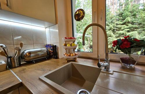 Ferienhaus JULKA am See mit Kamin & WLAN - Domek Letniskowy JULKA - Foto 43