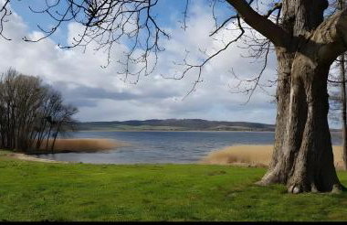 Ruheoase Kummerower See - Foto 25