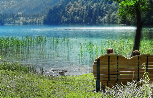 für bis zu 27 Personen mit Sauna - Foto 24