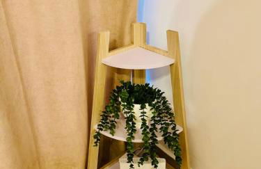 Arenas del Coliseo Centro Parking Gratis - Foto 18