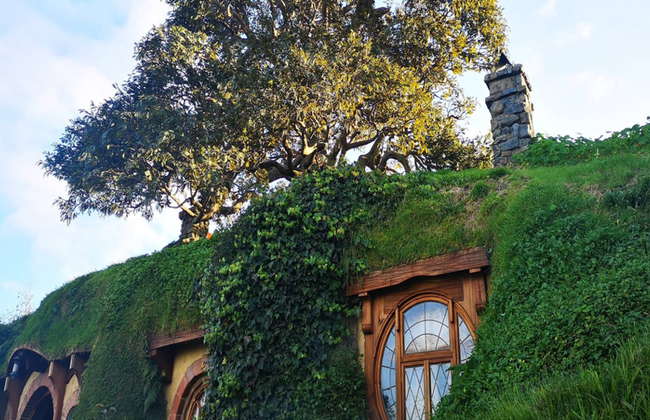 Découvrez le décor du film Le Hobbit avec déjeuner de Rotorua à Auckland - Excursion d'une journée - Photo 3