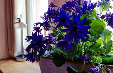 Glaadter Hütte - Foto 35