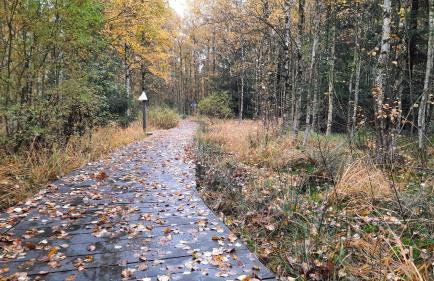 Ferienhaus am Erzgebirgskamm - Foto 31