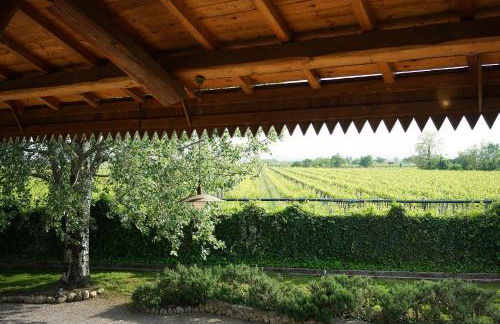 Domus Cariana - Foto 22