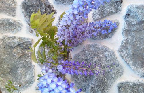 Casa Noelmar - Foto 8