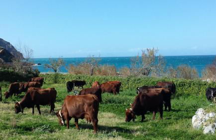 Sicily Sea House - Foto 28