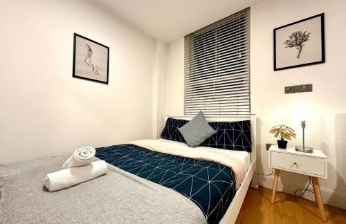Luxury Entire Flat in City Centre - Foto 30