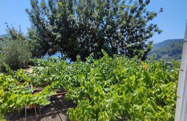 Guest House Kralj - Photo 47