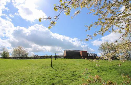 Cherry Pod 2 - Foto 20