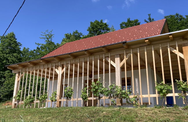 Princess's vineyard cottage - Foto 17