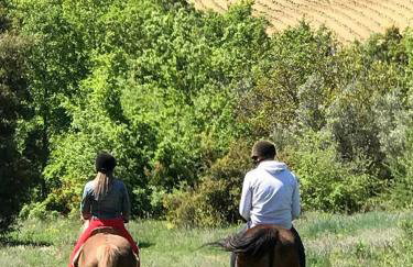 Ermis Katafigio - Photo 9