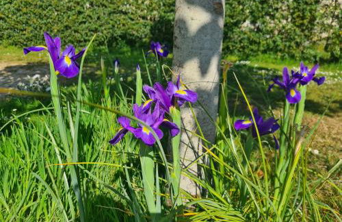 Kêr Neizh Breizh - Gîtes de Charme - Le Petit Châtelier - Foto 5