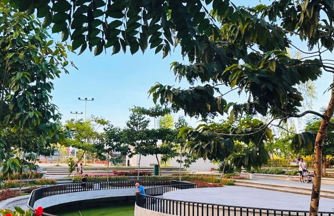 Pandora's Nest - Foto 51