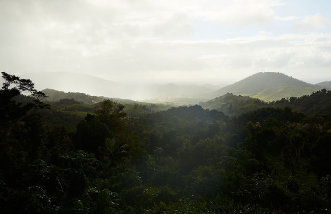 SELVA by DW - Photo 56