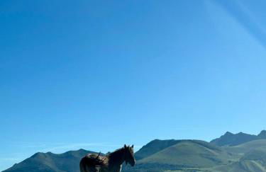 Résidence Bonnecaze - Foto 18