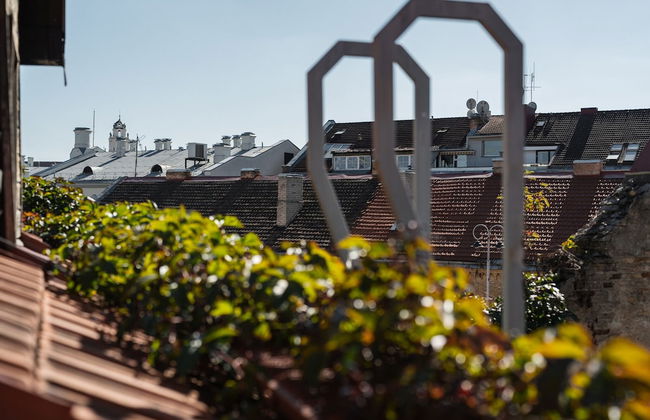 Cathedral Apart-Hotel - Photo 54