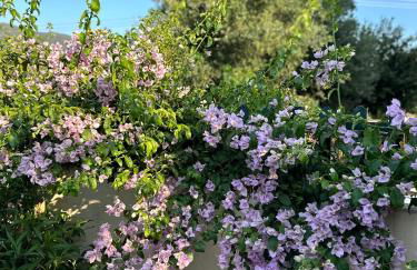 Kate's Place Apartment, 5' walk from the beach - Foto 31