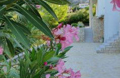 Salt & Stone Villa - Photo 30