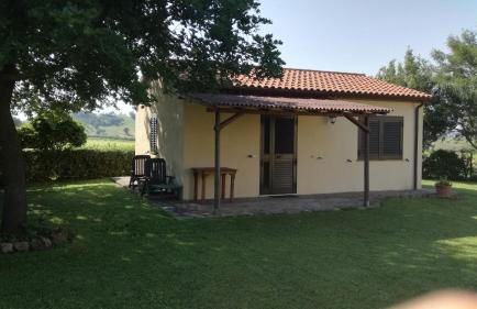 Agriturismo cavallin del papa - Foto 48