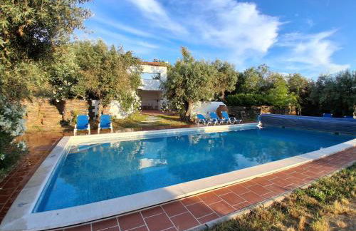 Casa De Terena - Foto 1