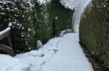 Courmayeur~navetta gratuita per il centro+impianti - Foto 29