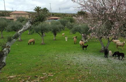 Risoturismo-Quinta das Pias - Holiday Farm - Foto 55