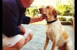 Agriturismo Villani Poderi Nesti & Cupoli - Photo 36