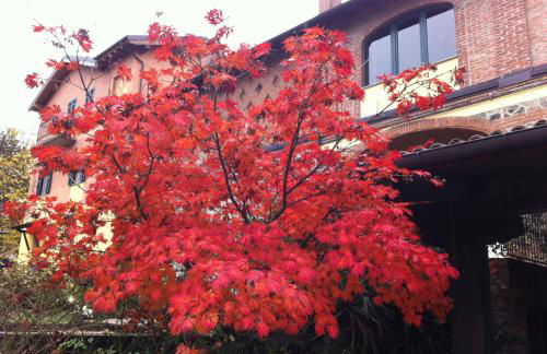 Tenuta Montebello - Foto 50