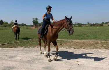 Casale el galet - Foto 50