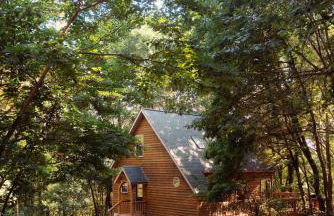Cheerful Two Bdrm Cabin with Hot Tub & Pet Friendly - Foto 40