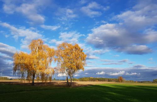 Ferienhaus Jerichow - Foto 13