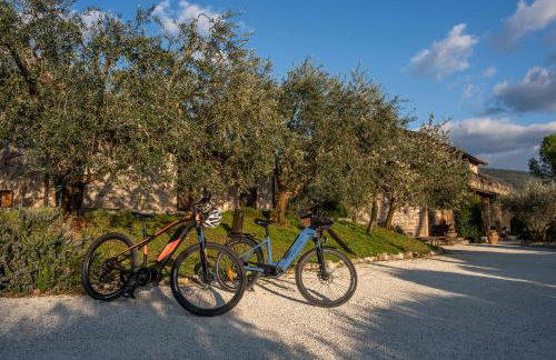 Agriturismo Il Giardino dei Ciliegi - Foto 76