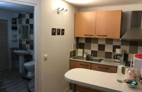 Studio rez-de-chaussée, à Lesquin/Lille aéroport - Photo 9