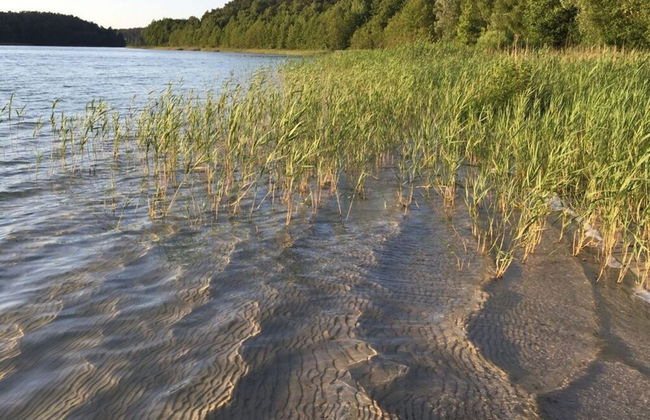 Holiday Apartment Lutowsee - Foto 16