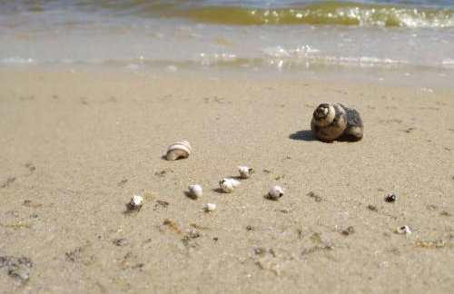 Villa Aurea - Foto 57