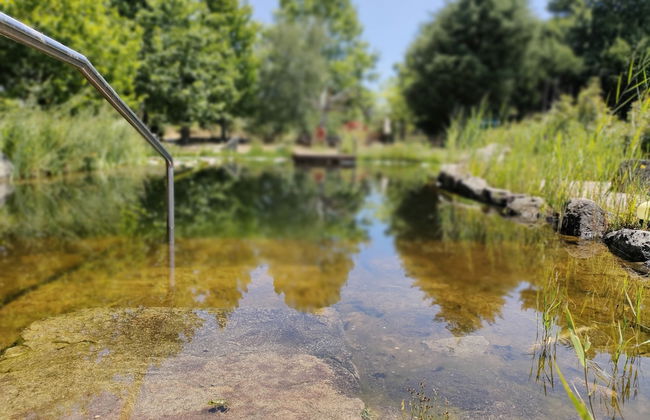 Casa das Palmeiras - Pedagogic Farm - Foto 89