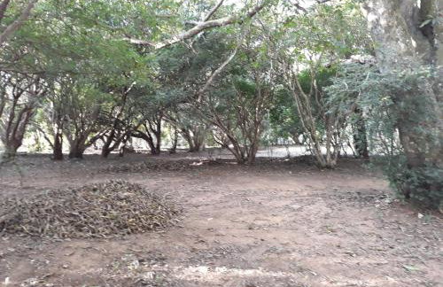 Chalé Veredas e Buritis - Foto 55